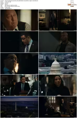 The Blacklist 2013 S10 1080p AMZN WEB-DL x265 SDR DDP 5 1 English - DarQ HONE