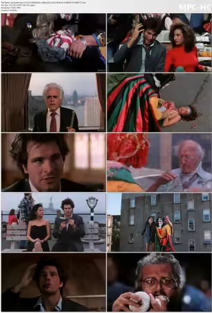 Sgt Kabukiman N.Y.P.D 1990 BluRay 1080p DD2.0 AVC REMUX-FraMeSToR