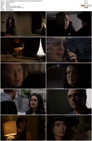 The Blacklist 2013 S02 1080p BluRay x265 SDR DDP 5 1 - DarQ HONE