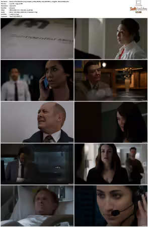 The Blacklist 2013 S04 1080p BluRay x265 SDR DDP 5 1 DarQ HONE