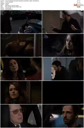 The Blacklist 2013 S04 1080p BluRay x265 SDR DDP 5 1 DarQ HONE