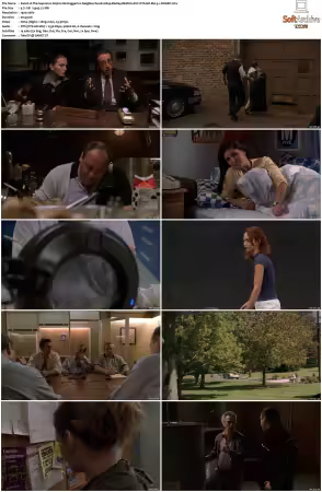 The Sopranos S03 1080p BluRay REMUX AVC DTS-HD MA 5.1-NOGRP
