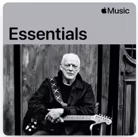 David Gilmour - Essentials (2025)