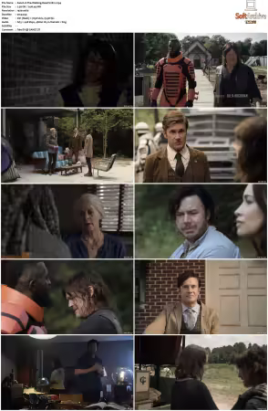The Walking Dead S11 1080p BluRay AV1-XILEF