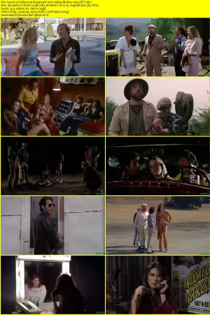 Hollywood Boulevard 1976 1080p BluRay x264-OFT