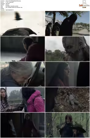 The Walking Dead S10 1080p BluRay AV1-XILEF