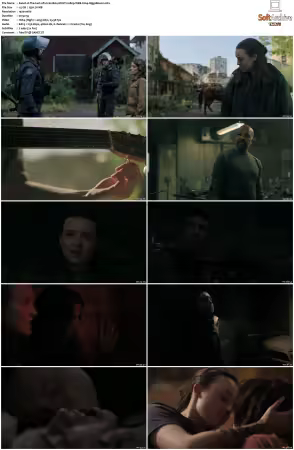 The Last of Us S02 MULTI 1080p WEB X264-HiggsBoson