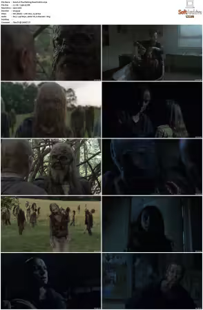 The Walking Dead S10 1080p BluRay AV1-XILEF