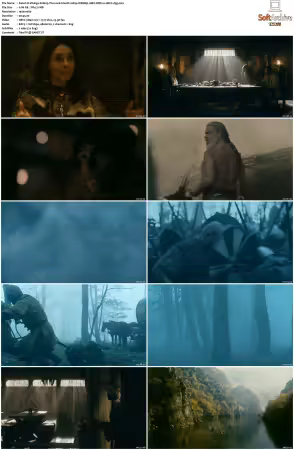 Vikings S01 S06 1080p WEBRip 10Bit DDP2 0 HEVC-d3g