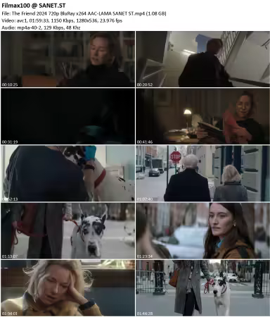 https://sanet.pics/storage-11/0625/avif/th_360q9apZbi3IWWZLpcfL1Rrg9jluNrpl.avif