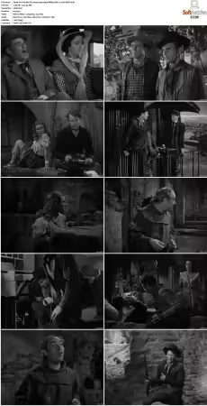 Colorado Territory 1949 1080p BRRip AAC1.0 x265-XBiTs