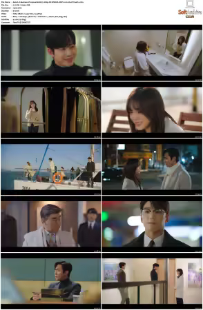 Business Proposal S01 1080p NF WEB-DL DDP2 0 H264-PrimeFix