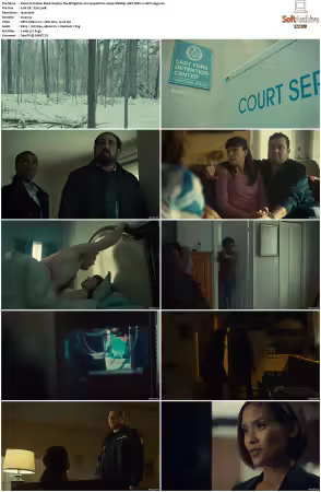 Orphan Black S04 1080p WEBRip 10Bit DDP2.0 HEVC-d3g