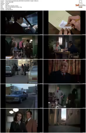 Kojak 1973 S02 1080p AMZN WEB-DL H265 SDR DDP 2 0 HONE