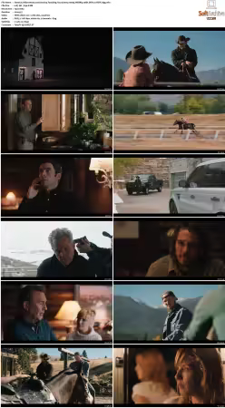 Yellowstone S02 1080p WEBRip 10Bit DDP2 0 HEVC-d3g