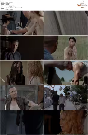 The Walking Dead S03 1080p BluRay AV1-XILEF