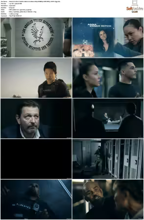 S.W A T S08 1080p AWEBRip 10Bit DDP5 1 HEVC-d3g