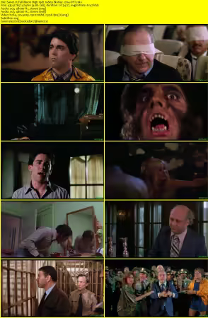 Full Moon High 1981 1080p BluRay x264-OFT
