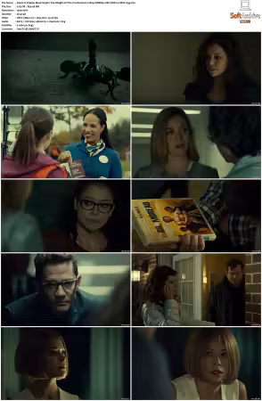Orphan Black S03 1080p WEBRip 10Bit DDP2.0 HEVC-d3g