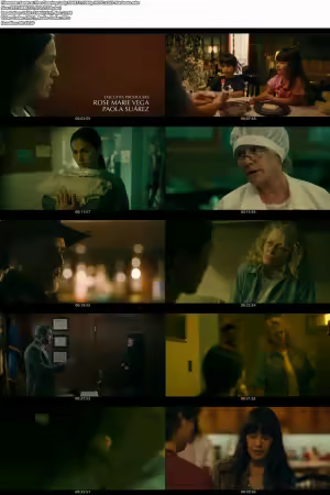 The Cleaning Lady S04E11 1080p HEVC x265-MeGusta