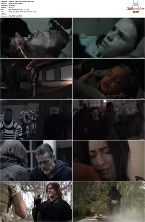 The Walking Dead S11 1080p BluRay AV1-XILEF