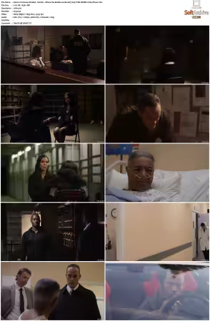 A House Divided 2019 S01 720p TUBI WEBDL H264-Pisces