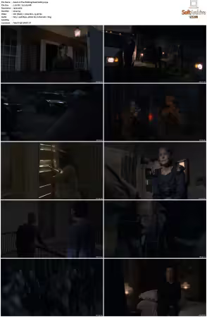 The Walking Dead S08 1080p BluRay AV1-XILEF