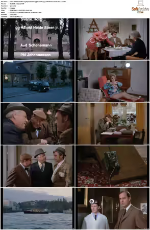 Olsenbanden og Dynamitt-Harry gar amok aka The Olsen Gang and Dynamite-Harry Goes Wild 1973 1080i Remux H264 DTS 2 0