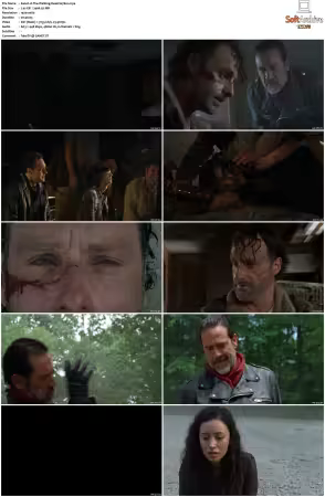 The Walking Dead S07 1080p BluRay AV1-XILEF
