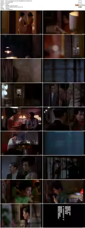 In the Mood for Love 2000 1080p BRRip AAC5.1 h264-XBiTs