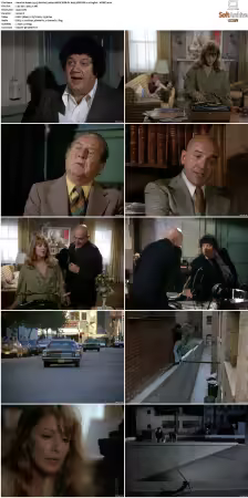 Kojak 1973 S02 1080p AMZN WEB-DL H265 SDR DDP 2 0 HONE