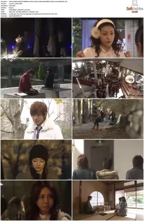 BOYS OVER FLOWERS S02 1080p VIKI WEB-DL AAC2 0 H 264-MrHulk