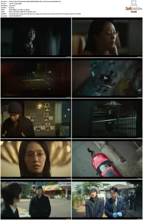 Nine Puzzles S01 1080p DSNP WEB-DL DD+5 1 Atmos H264-playWEB