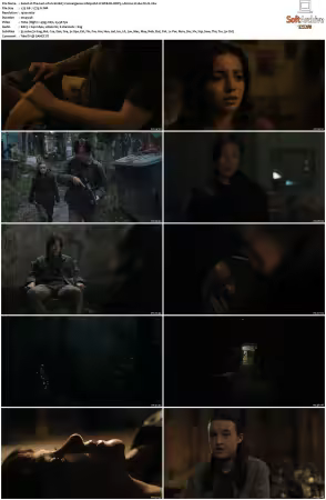 The Last of Us S02 1080p HULU WEB-DL DDP5 1 Atmos H264-FLUX
