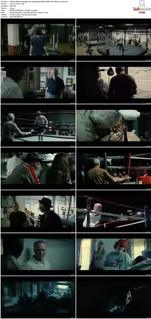 Million Dollar Baby 2004 1080p Blu-Ray ReMuX MPEG-2 DTS-HD MA 7.1-R2D2