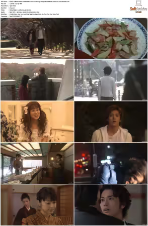 BOYS OVER FLOWERS S02 1080p VIKI WEB-DL AAC2 0 H 264-MrHulk
