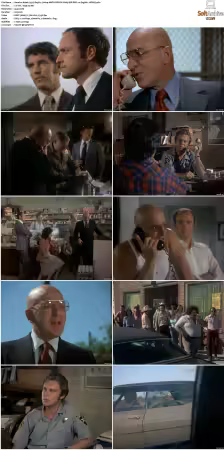 Kojak 1973 S03 1080p AMZN WEB-DL H265 SDR DDP 2.0 HONE