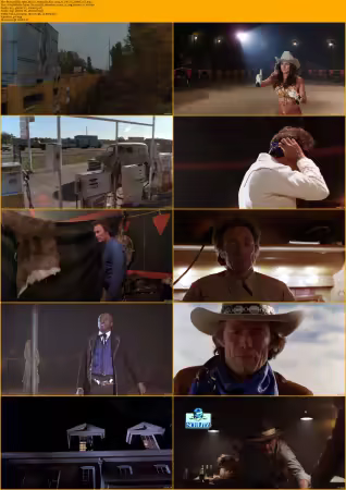 Bronco Billy 1980 MULTi 1080p BluRay x264 AC3-PTTrG