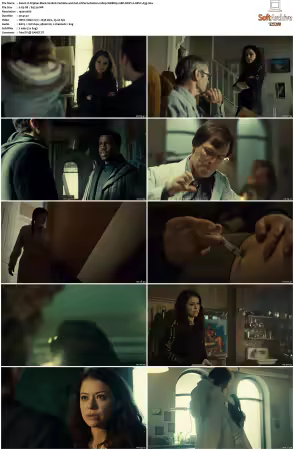 Orphan Black S02 1080p WEBRip 10Bit DDP2.0 HEVC-d3g