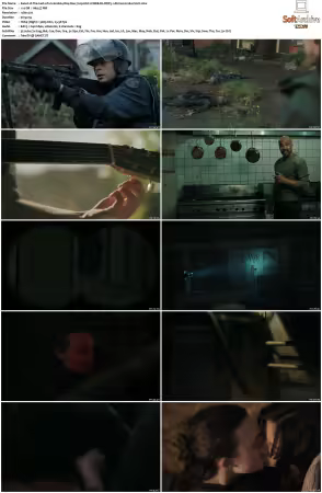The Last of Us S02 720p HULU WEB-DL DDP5 1 Atmos H264-FLUX