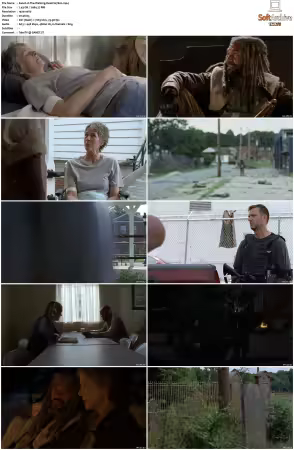 The Walking Dead S07 1080p BluRay AV1-XILEF