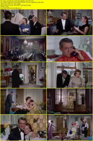 Indiscreet 1958 1080p BluRay x264-OFT