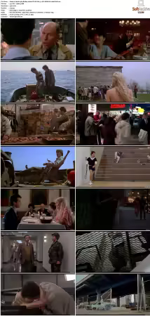 Splash 1984 BluRay 1080p DTS-HD MA 5.1 AVC REMUX-FraMeSToR