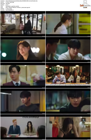 Business Proposal S01 1080p NF WEB-DL DDP2 0 H264-PrimeFix