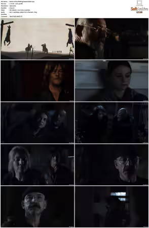 The Walking Dead S11 1080p BluRay AV1-XILEF