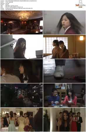 BOYS OVER FLOWERS S01 1080p VIKI WEB-DL AAC2 0 H 264-MrHulk
