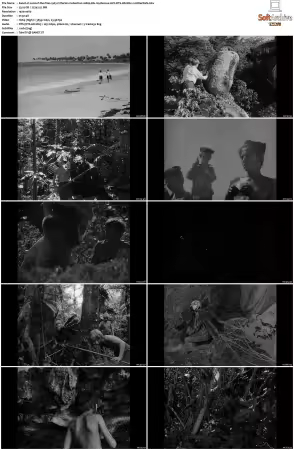 Lord of the Flies 1963 Criterion Collection 1080p Blu-ray Remux AVC DTS-HD MA 1 0-HiDeFZeN
