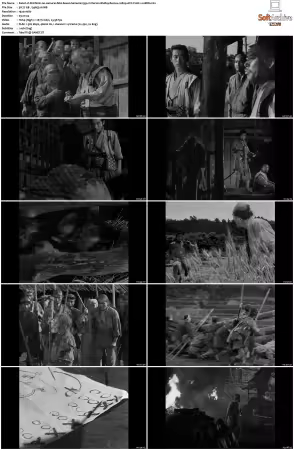 Shichinin no samurai AKA Seven Samurai 1954 Criterion BluRay Remux 1080p AVC FLAC 1.0-BDR