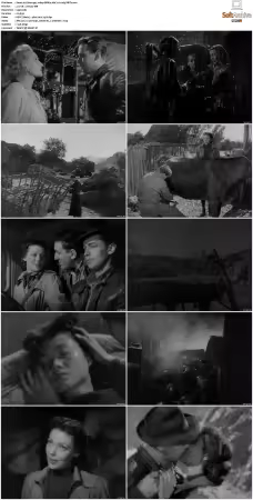 China 1943 1080p BRRip AAC2.0 x265-XBiTs