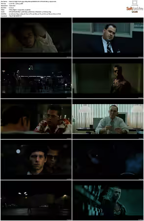 Fight Club 1999 1080p Bluray REMUX AVC DTS-HD MA 5.1-4K4U